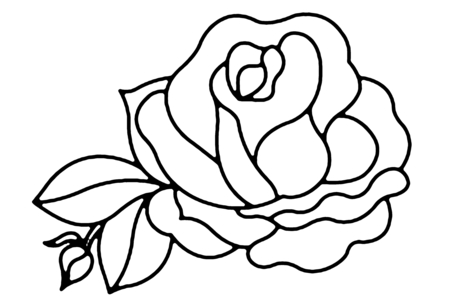 Coloriage Rose 01 – 10doigts.fr